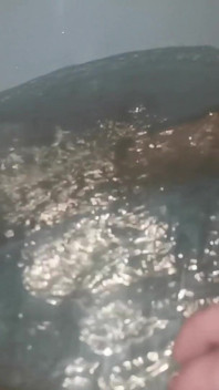 Meine pisse in der badewanne so geil