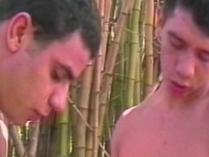 SEXUAL SIN GAY: Latin Cocks Scene-4_latino Gays Like to Fuck in the Countryside...