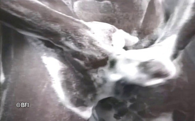 Just Boys: 硬块 - 世界媒体集团。