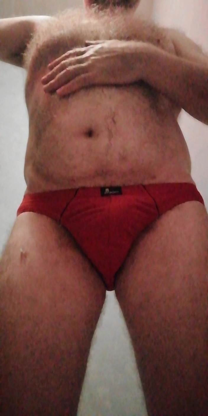 The UK Hairy Bear: 쪼이는 빨간 새아빠 브리프를 입은 내 비를 쓰다듬어
