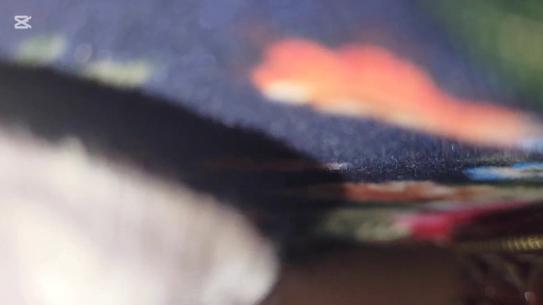 House 3: Foda-se a indiana gostosa com pau quente