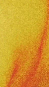 Orange sexy hintern traum