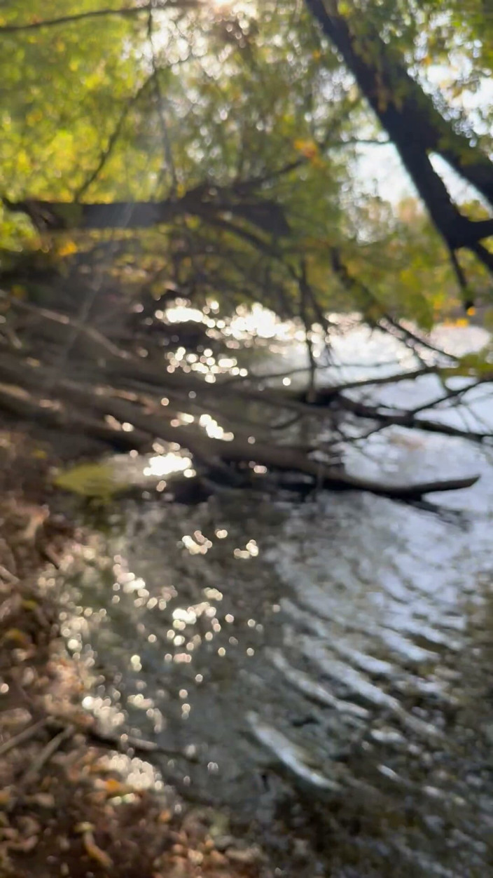 unemployedrobot: Public Masturbation Boise Idaho Greenbelt Bike Walking Trail