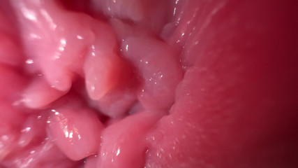 Mia Foster: Close na buceta aberta e conversa suja