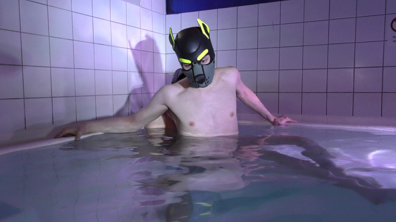 Project Y studios: 도기 풀 파티