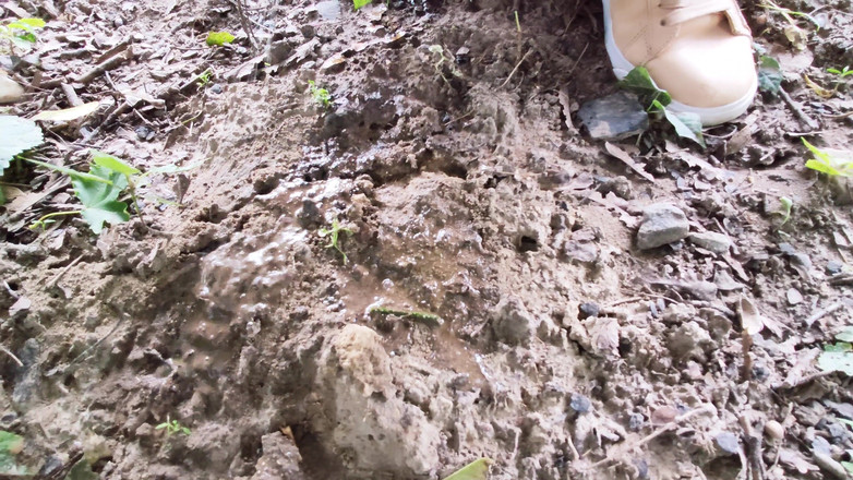 Adele Amber: Hujan di alam