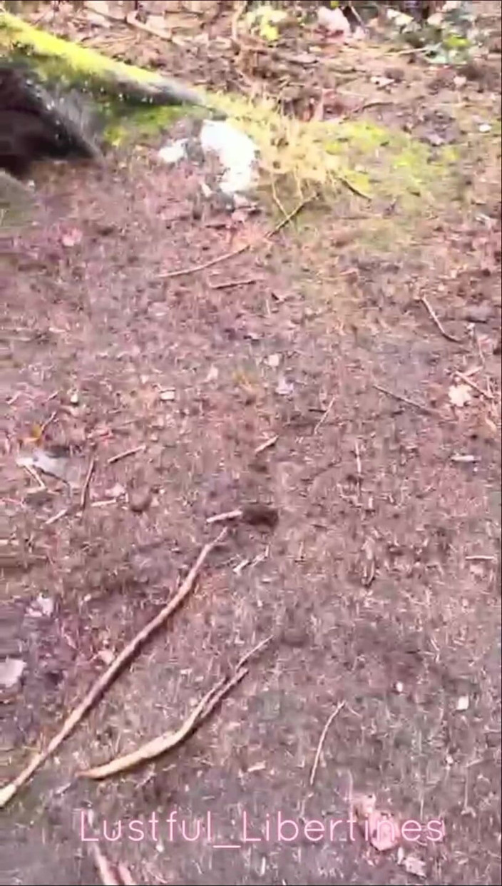 Lustful Libertines: Sadece Biraz Ormanlık Alanda Sikişiyor Ve Emiyor