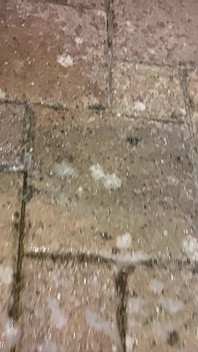 Si blonde matang nakal kencing di luar rumah dalam lateks seksi