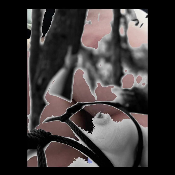 Suzy Wylde: 内裤、阴户和单人合集