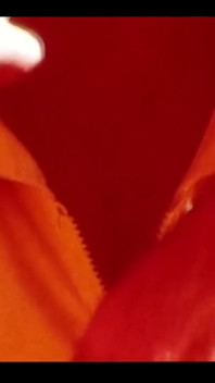 Retro-porno, retro-erotik-theater - nachtisch frucht