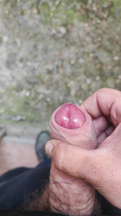 Xulivar19: Kontol besarku 3