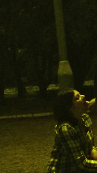 Slut Public Blowjob in Park
