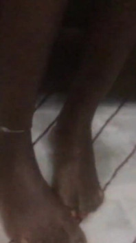 African Ebony Feet Fetish Petite Oiled Teen 18 Sitting
