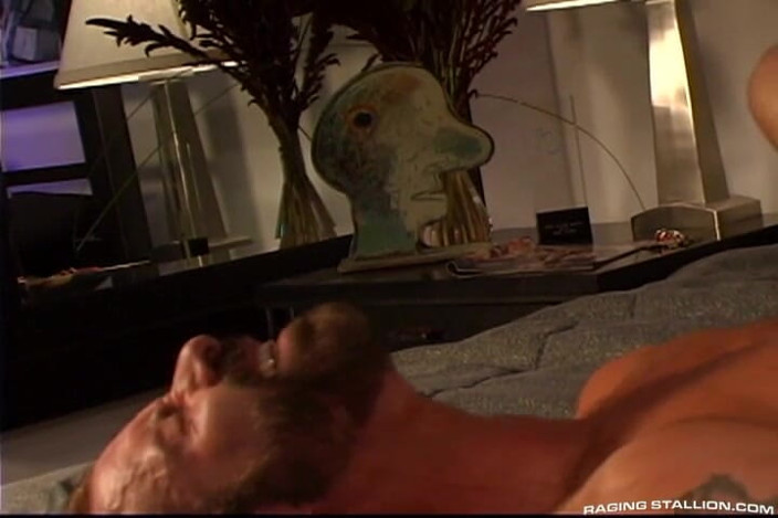 Raging Stallion: Knight After Night