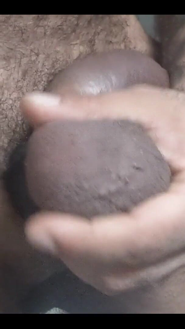 Is Testicle Tuesday a Thing? (Lobo) Is Testicle Tuesday a Thing? (Lobo)