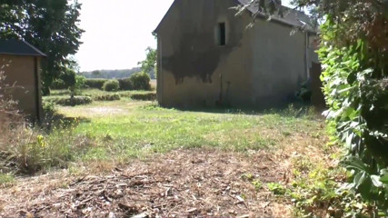 Dirty Amateurs: Jest trochę akcji orgii i wiele więcej