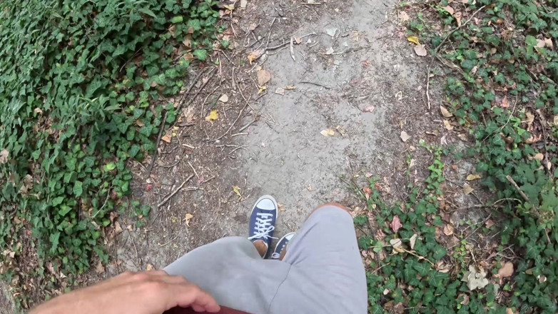 CumPearls: Surprise in the Foliage