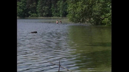 MUSCHI TV - our best full movie: Her yerde kedi