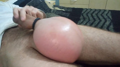 Lion big balls: Hård och tjock
