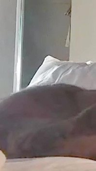 Amici militari sexy peloso muscoloso latino Ric ram si fa scopare senza preservativo dall'orso muscoloso colton hicks