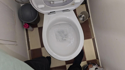 Alpha pee king: Pissing to the Toilet