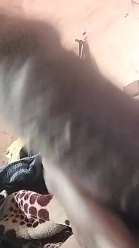 Ma bite est très dure et longue