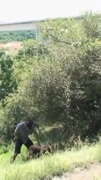 Se folla a una joven zorra en el país y luego también en casa