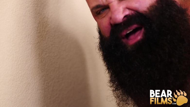Bear Films: Bear Films obese hairy bears raw breed in compilation