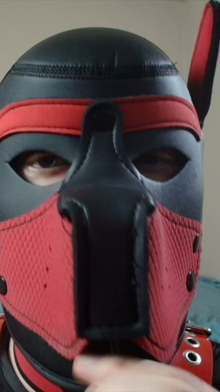 Alex GoodBoy: Cachorro chupa su piruleta de cerca