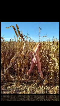 I'm Feeling Rather Corny Lol