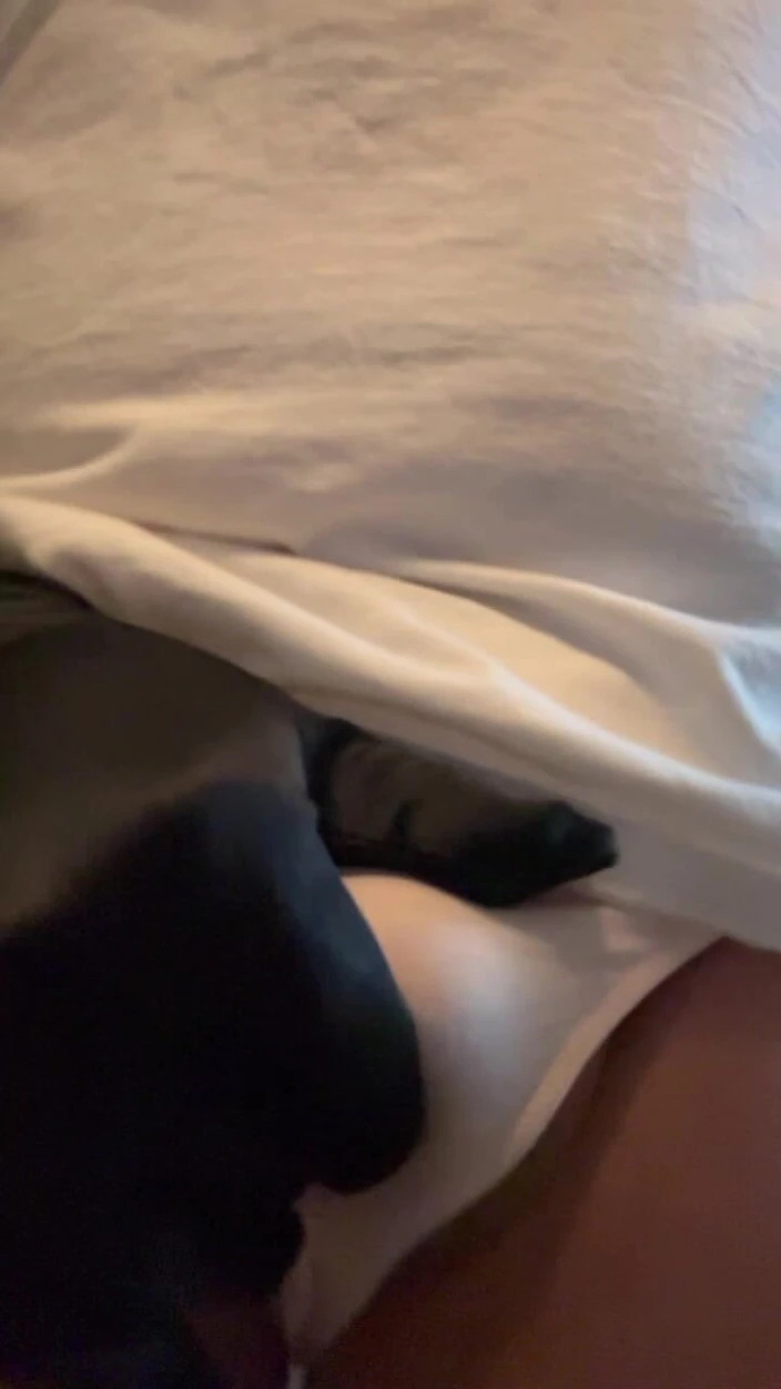 Panty Freak 3017: Panty Haul Try on