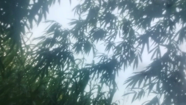 Salonibhabhi: Yang Gay Boy Outdoor Handjob
