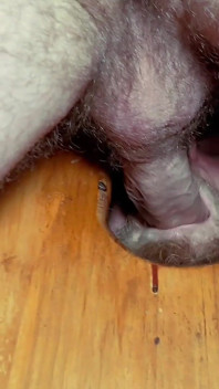 Gloryhole Fun. Bearded Master Fucking Fellball