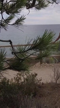 Dick Flash - I Pull Out My Cock in Front of a French Girl... Beach Path and She Helps Me Cum in Mounth Caught!!!