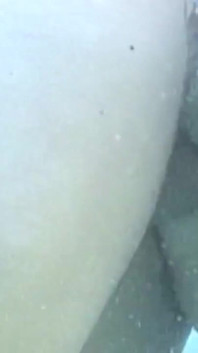 Men- Twink Swimmers Jeyden Studley, Tyr Alexander Gets a Face Full of Cum