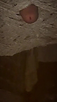 My New Hot Cumshot Compilation Video.