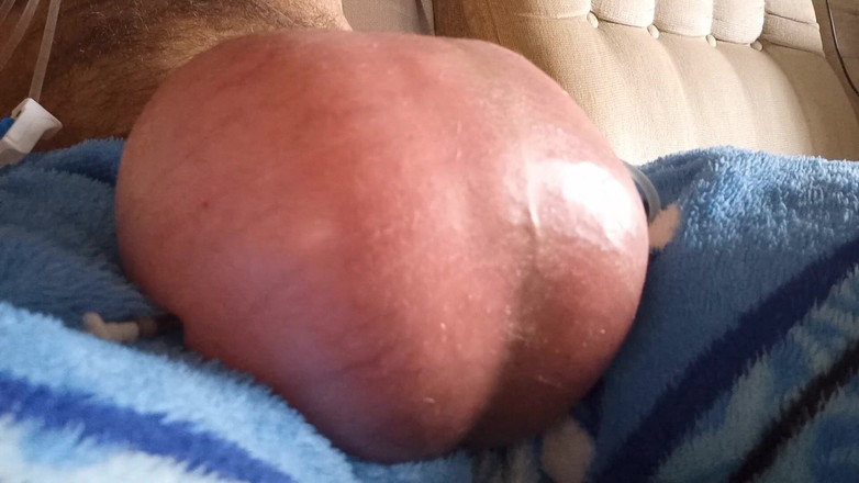 Lion big balls: Balls Saline