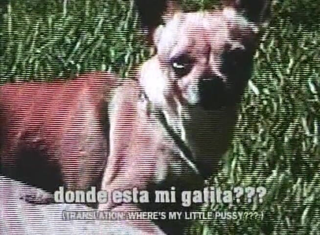 Dark Extreme: Чорну повію облизують і трахають на відкритому повітрі