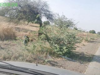 Sexy Komal: Une fille urine sur la route, l'a appelée dans la...