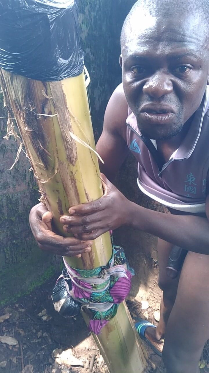 Moviesporn1: Muncrat dengan Pisang Adalah yang terbaik untuk pria yang kuat