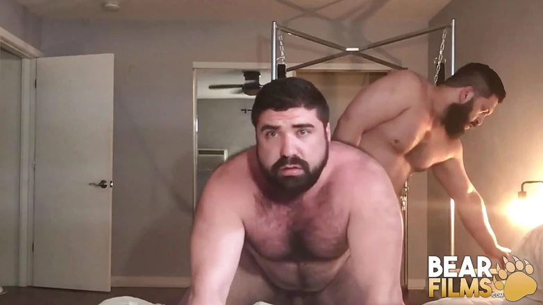 Bear Films: Bearfilms - osos peludos y barbudos a pelo hardcore