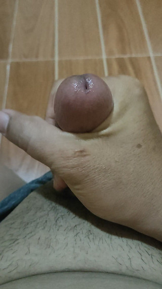 ArchAss: 独自撸管（需要colab）