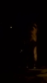Crusing in a Park at Night - Getting Naked 2