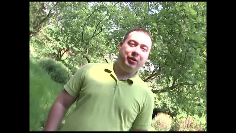 DEUTSCHE AMATEUR: 貫かれるタトゥーだらけの体