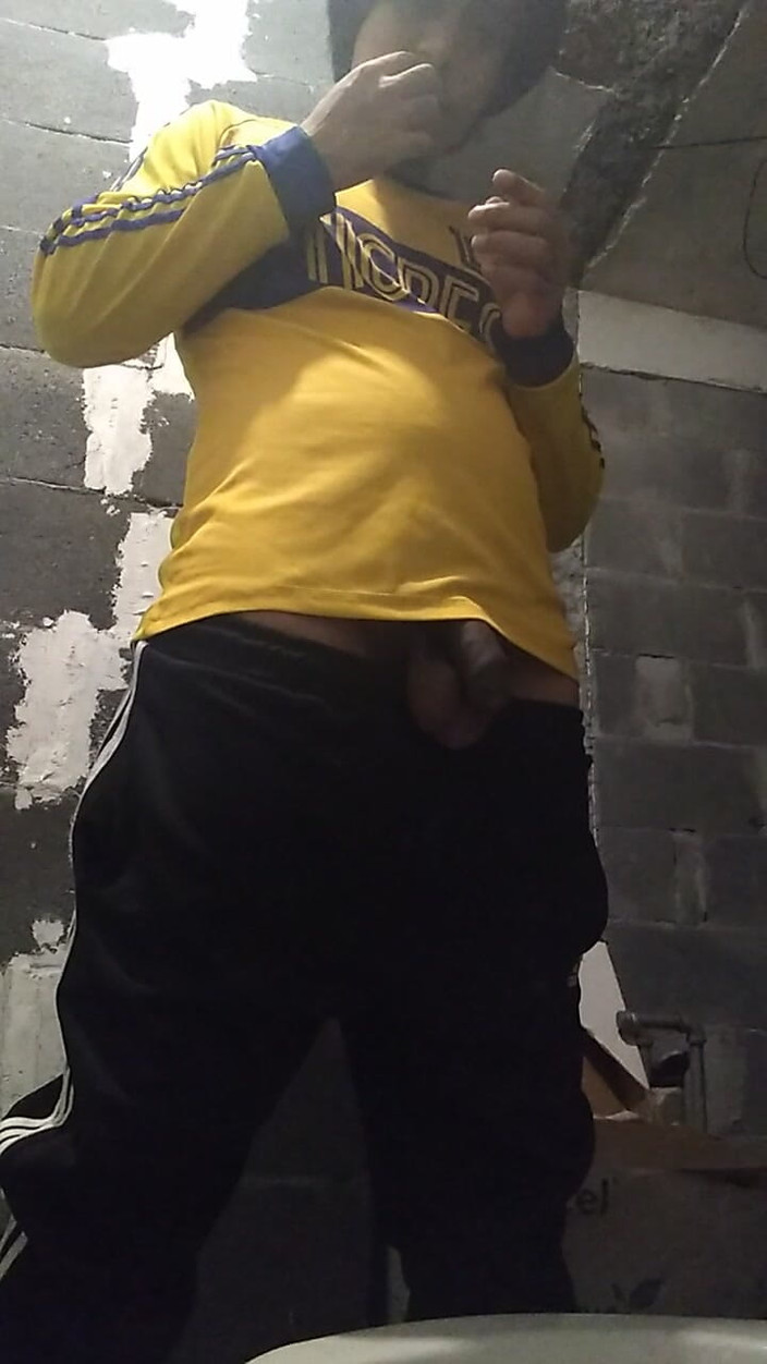 AlexAlejandro13: Une Meada dans les toilettes