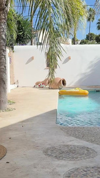 Party prank trappola legata, imbavagliata e coperta di sborra in piscina (hd)