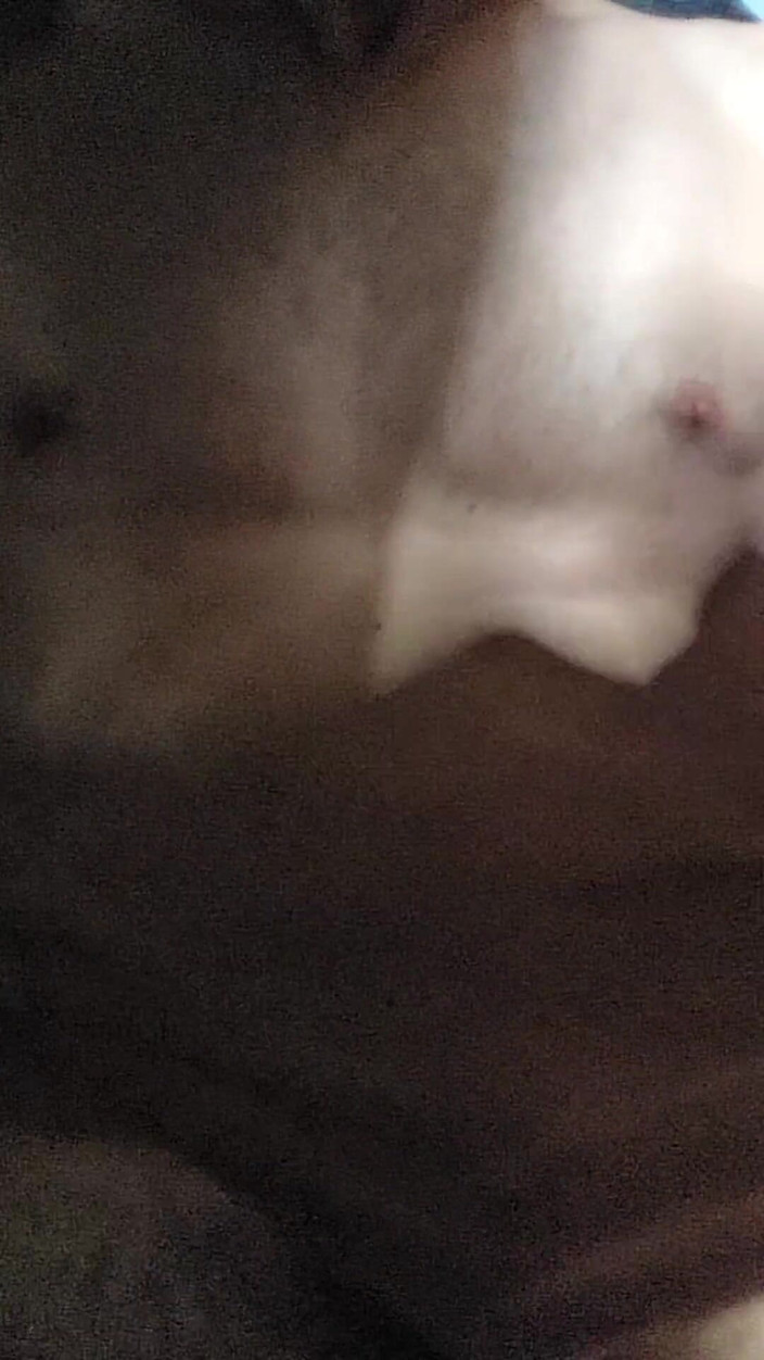 Ruggidron: Œuf sur mon visage