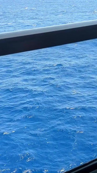 Hot Wife Swinging on Cruise Ship! (get It?)