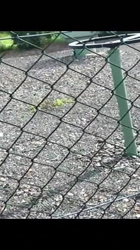 Jogger šuká na ulici