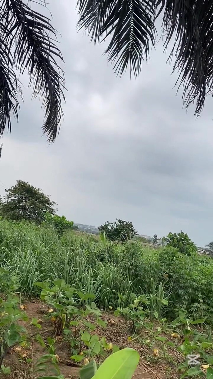 Blackthug20k: 풀 뷰 2부